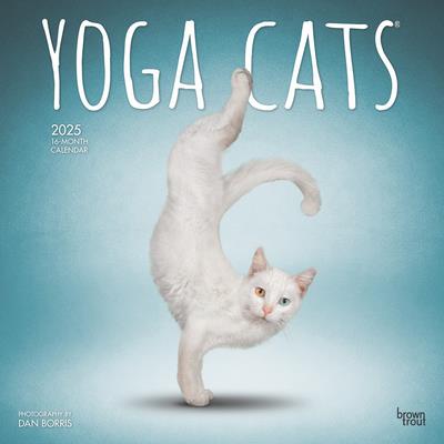 Yoga Cats Official 2025 12 X 24 Inch Monthly Square Wall Calendar Plastic-Free Yoga Cats Official 2025 12 X 24 Inch Monthly Square Wall Calendar Plastic-Free
