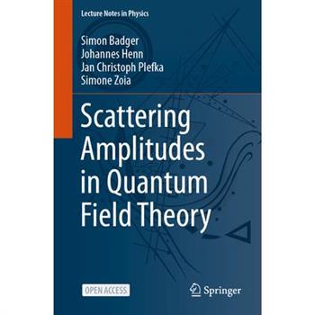 Scattering Amplitudes in Quantum Field Theory