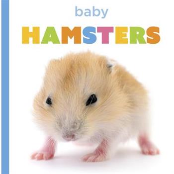 Baby Hamsters