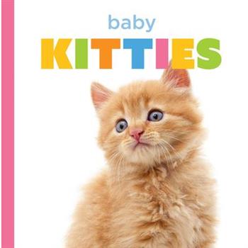 Baby Kitties