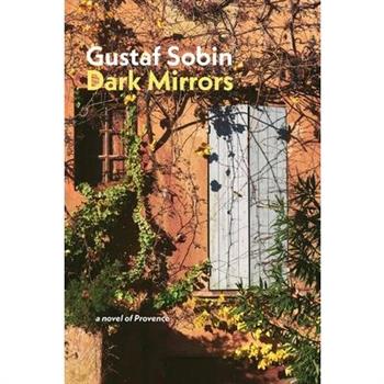 Dark Mirrors