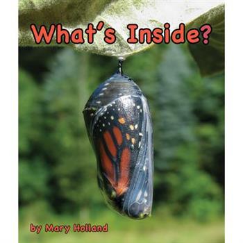 What’s Inside?