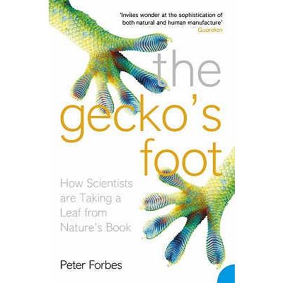 The Gecko’s Foot