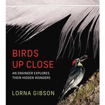 Birds Up Close