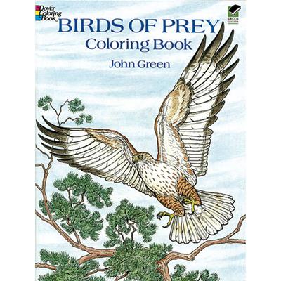 Birds of Prey Coloring Book