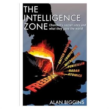 The Intelligence Zone