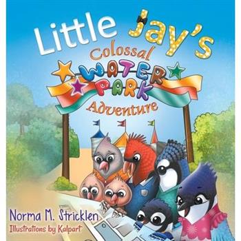 Little Jay’s Colossal Waterpark Adventure