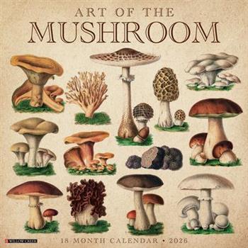 Art of the Mushroom 2026 12 X 12 Wall Calendar