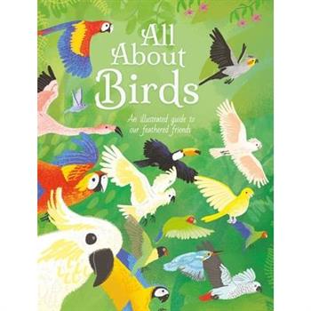 All about Birds