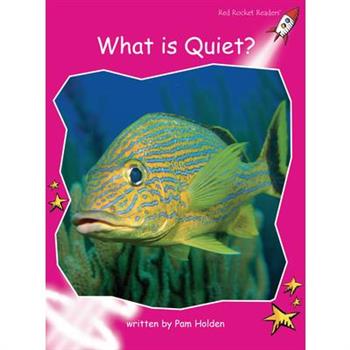 What Is Quiet?