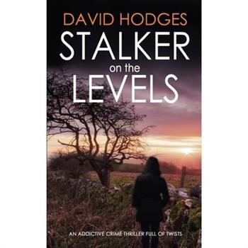 STALKER ON THE LEVELS an addictive crime thriller full of twists