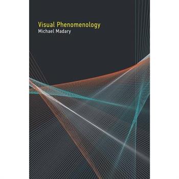 Visual Phenomenology