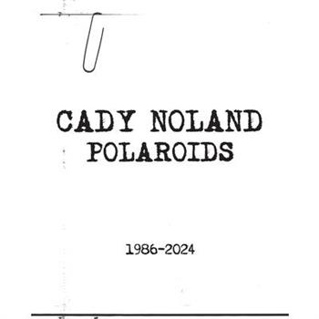 Cady Noland