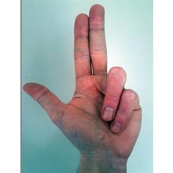 The Kilmarnock Collection