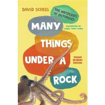Many Things Under a Rock Young Readers Edition