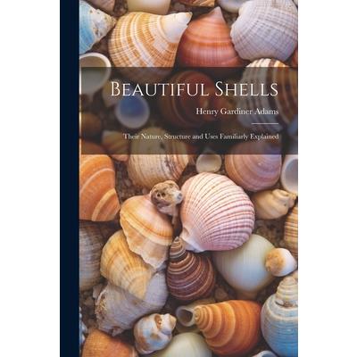 Beautiful Shells