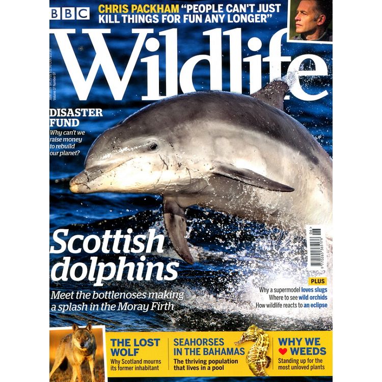 BBC Wildlife Vol.37 No.7 6月號 2019【金石堂、博客來熱銷】