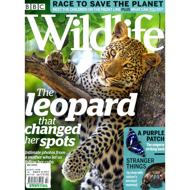 BBC Wildlife Vol.37 No.8 7月號 2019【金石堂、博客來熱銷】