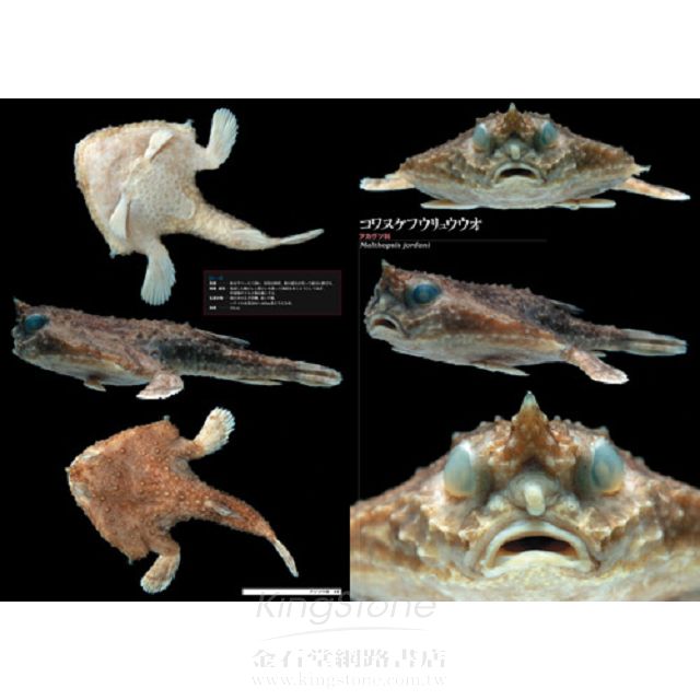 深海魚生物寫真檔案集 金石堂自然科學