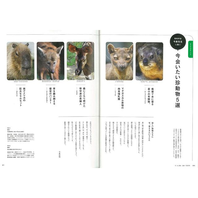 在日本能看到的稀有動物大全 金石堂自然科學