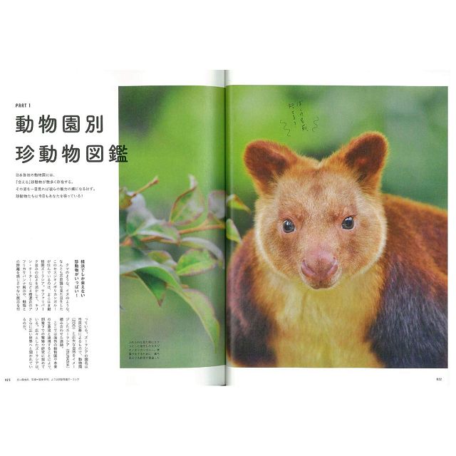 在日本能看到的稀有動物大全 金石堂自然科學