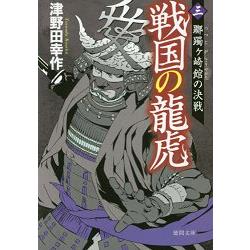 戰國之龍虎 Vol.3【金石堂、博客來熱銷】
