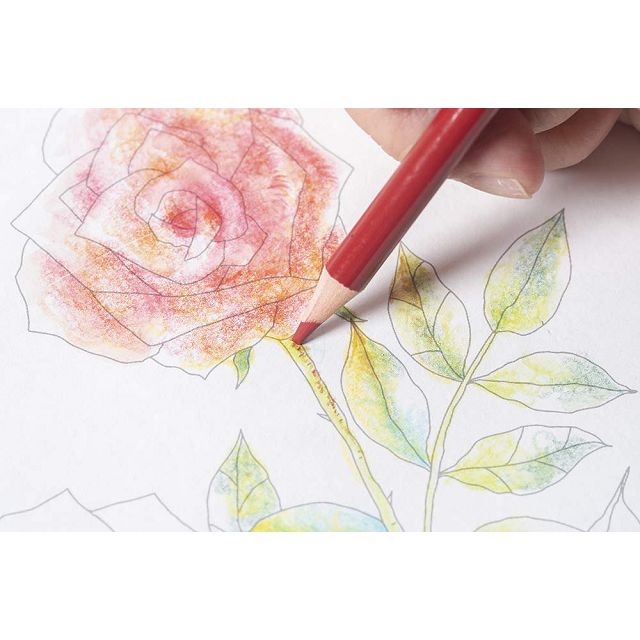 金石堂 水彩色鉛筆美麗的花朵塗鴉書