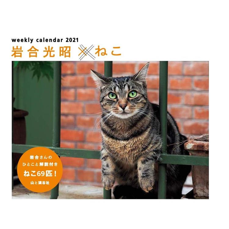 岩合光昭 X 貓咪 2021年 月曆