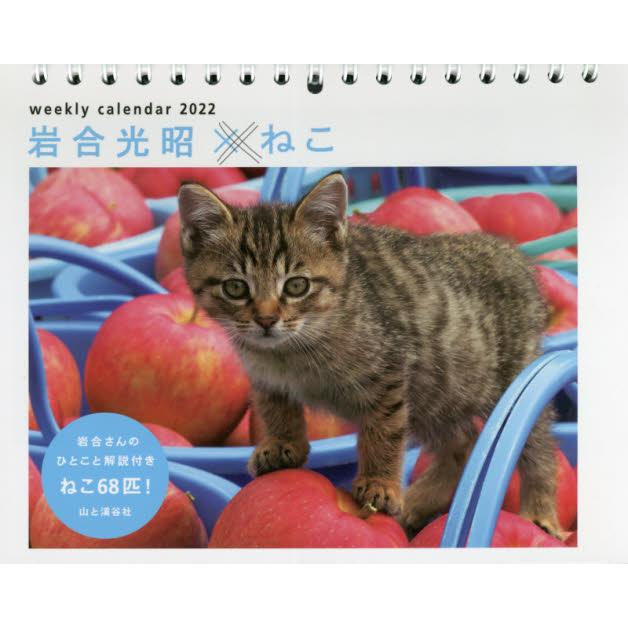 岩合光昭 X 貓咪 2022年 月曆