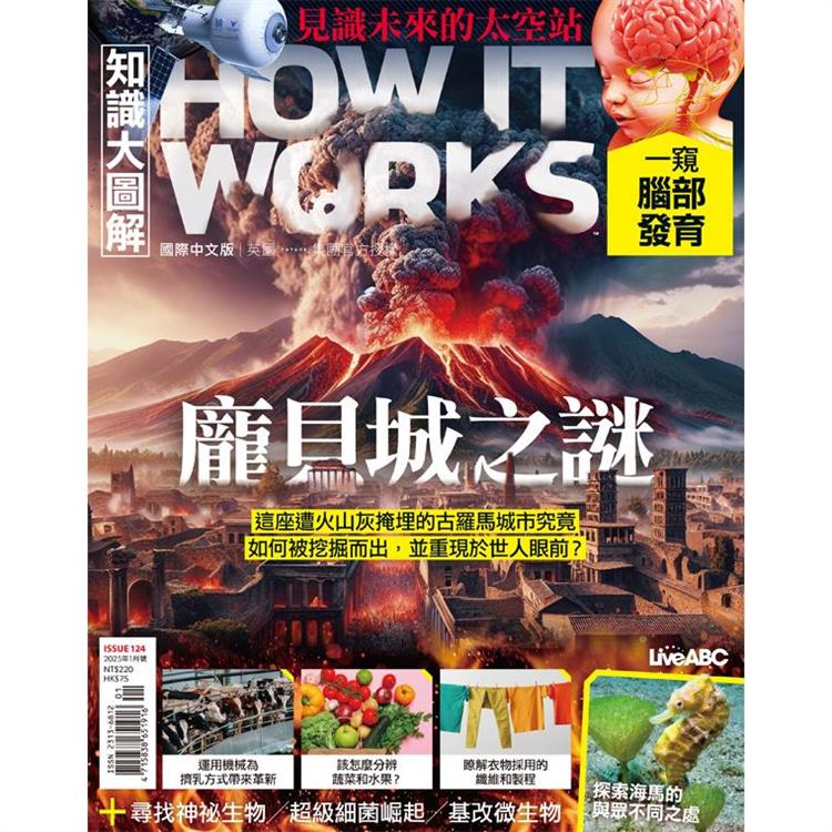 How It Works知識大圖解1月2025第124期【金石堂、博客來熱銷】