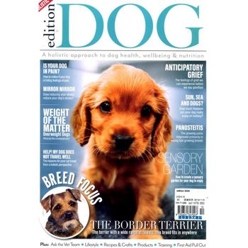 edition DOG 第10期