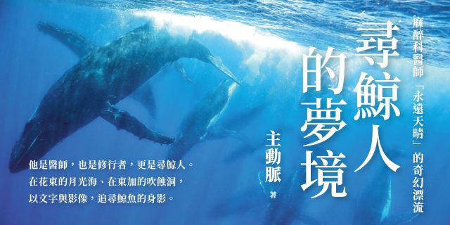 尋鯨人的夢境：麻醉科醫師「永遠天晴」的奇幻漂流。在鯨魚的呼吸裡，聽見生命最深的寧靜