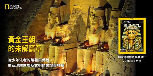 tutankhamun260119