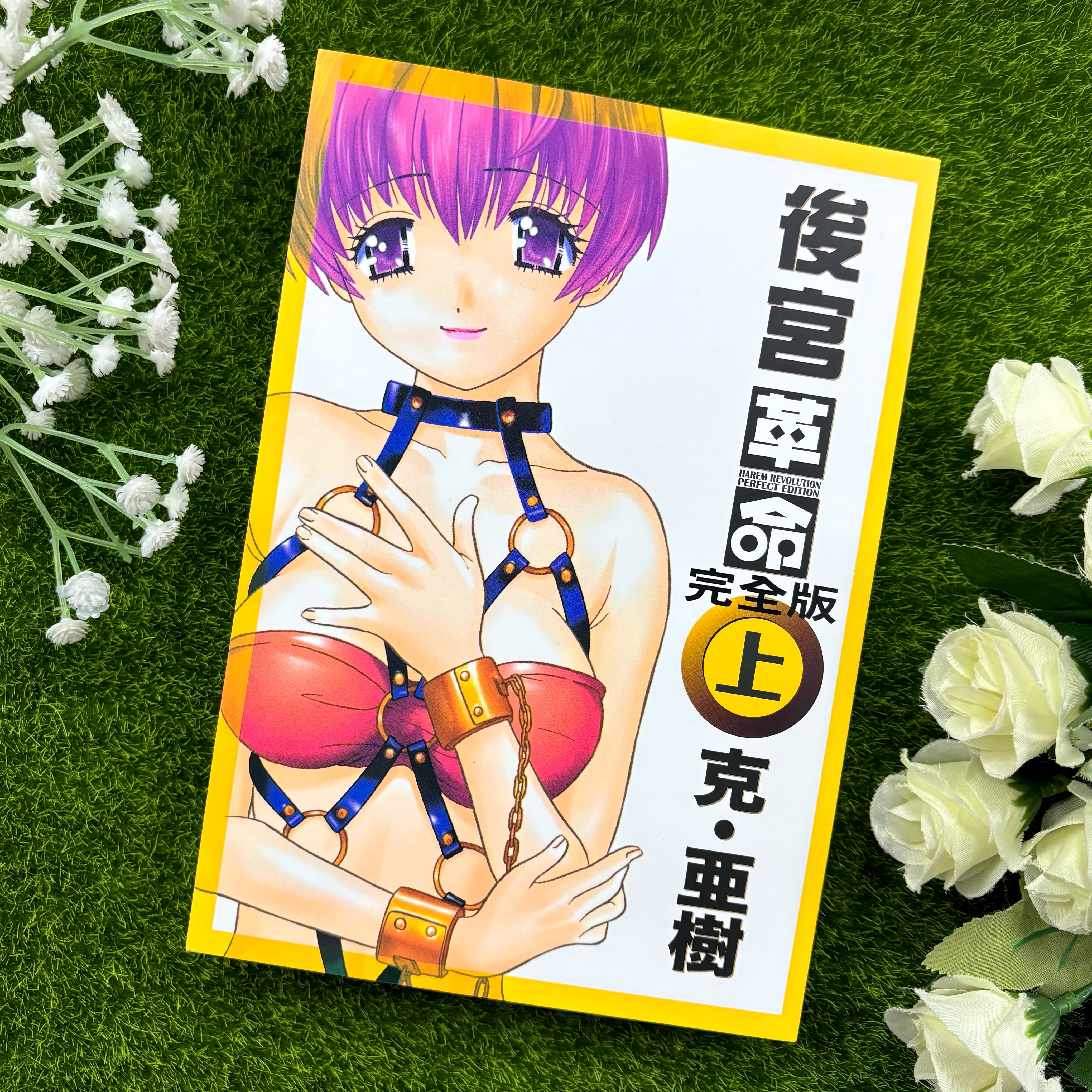 令人目眩神迷的色情經典，再次登場！《後宮革命 完全版》上+下集同步上市