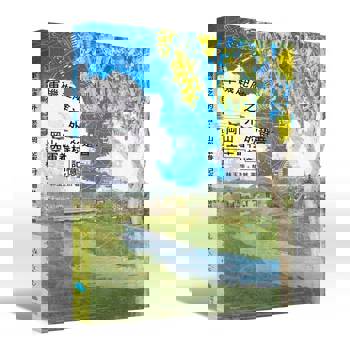 軍機起降之外的跫音：岡山空軍眷村記憶