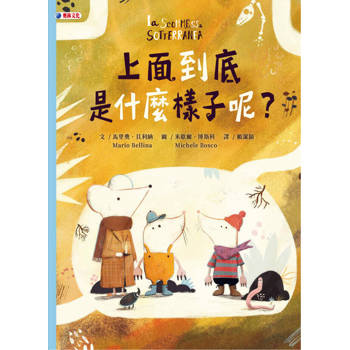 上面到底是什麼樣子呢？