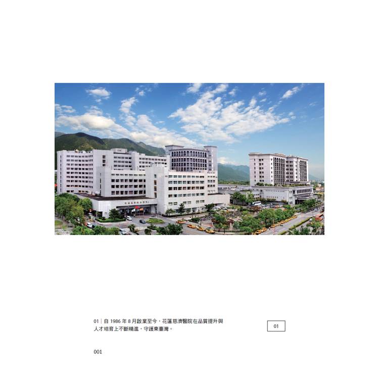 醫療希望在花蓮:花蓮慈濟醫院院長林欣榮的創新醫路 醫療希望在花蓮:花蓮慈濟醫院院長林欣榮的創新醫路