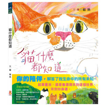 貓什麼都知道