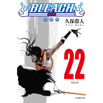 BLEACH死神 愛藏版 22