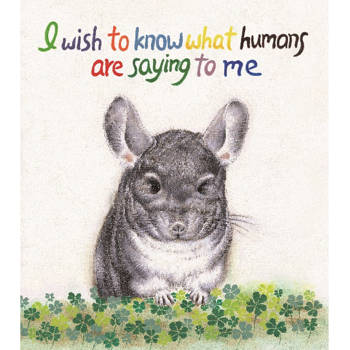 I wish to know what humans are saying to me