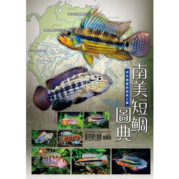 南美短鯛圖典：雨林精靈與燈魚之舞