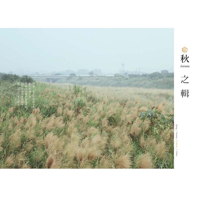 環島讀冊:心中那間獨立書店,改變街區的閱讀力量 環島讀冊:心中那間獨立書店,改變街區的閱讀力量