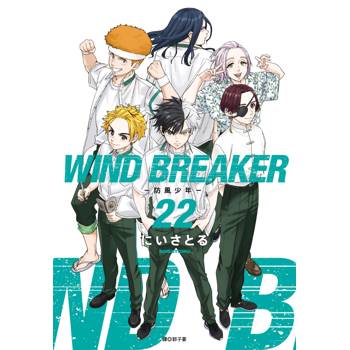 WIND BREAKER—防風少年—(22)
