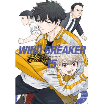 WIND BREAKER–防風少年(15)