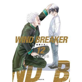 WIND BREAKER–防風少年–（12）