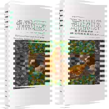 精雕細琢：插畫創作的思維與表現VI