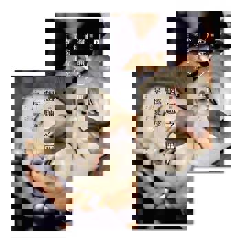 【電子書】魍魎之匣【經典回歸版】