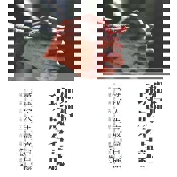 【電子書】如何功成名就