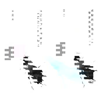 【電子書】迦陵學詩筆記（下冊詞曲）