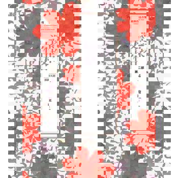 【電子書】瓊瑤經典作品全集 19：還珠格格．第二部(4)浪跡天涯